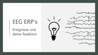 EEG  Reize und ihre Auswirkungen  ERPEKP  Ereigniskorreliertes Potential [upl. by Zales424]