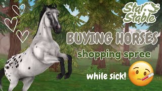 HORSE SHOPPING SPREE  Lets Chat  Star Stable Online [upl. by Taran]