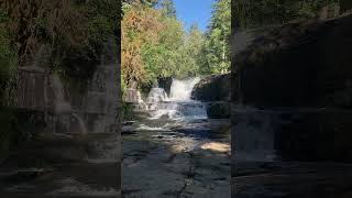 Alsea Falls near Monroe Oregon oregonwaterfalls waterfall [upl. by Yunfei]