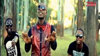 Nalema by D2 ft BFlow amp B1 Official Music Video [upl. by Aihsik]