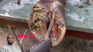 Experts Reveal the BEST Way to Remove Screws Stuck in Hooves [upl. by Wolff]