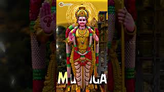 Nethu Seitha Punniyathula Intha Vaippu Kedachurku  murugan whatsapp status tamil  trending mass [upl. by Serolod834]