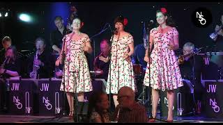 The Northern Swing Orchestra and The Honeybirds  In The Mood  Shoo Shoo Baby [upl. by Nolahc]