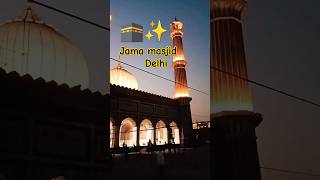 Delhi ka jama masjid ✨🕌💖 islamicstatus masjid jamamasjid delhi viralvideo [upl. by Sargent389]