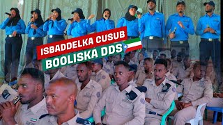 ILAYS BAND  JIGJIGA  HEESTA SOO NOQOSHADA AWOODDA CIIDANKA BOOLISKA SOMALI STATE  2023 [upl. by Akeirahs685]