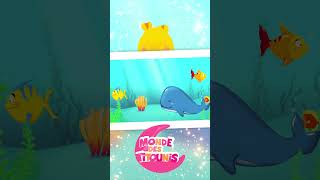 Chante et Danse avec les Titounis  Musiques et Chansons pour Enfants Cest la baleine [upl. by Aimekahs]