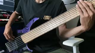 Human Murmuration ARCHSPIRE Bass Cover  DingwallGuitars NG2 [upl. by Nohsyt282]