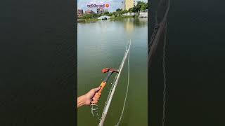 New method of hammer fishing😱quotyoutubeshorts [upl. by Yaluz]