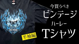 現在販売中のお手頃ビンテージハーレーTシャツを紹介します。（202410） [upl. by Suckram385]