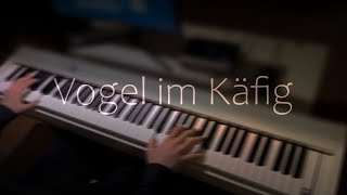 Vogel im Käfig  AOT  Best Part Piano [upl. by Brenna]