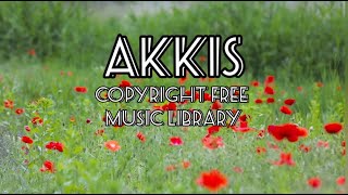 Ikson  Last Summer  No copyright music akkiscopyrightfreemusiclibrary [upl. by Amari]