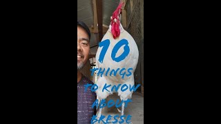 Ten Things You Need to Know About Bresse Chicken [upl. by Maguire]