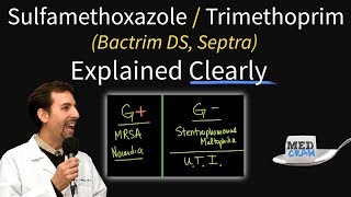 SulfamethoxazoleTrimethoprim Bactrim Septra Uses Coverage Dosage UTI Treatment Etc [upl. by Amadis]