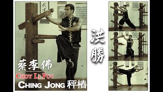 Choy Li Fut Wooden Dummy [upl. by Aigil]