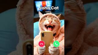 Funny Cat Calling to Strangers 🤣🐯📱 funny cat [upl. by Rochemont716]