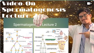 Spermatogenesis Lecture  Stages of Spermatogenesis [upl. by Ahseket251]