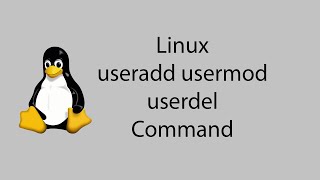 Learn Linux 13  useradd usermod userdel Command [upl. by Yntirb]