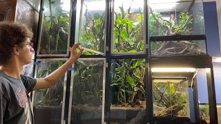 DIY Vertical Terrarium Screen Doors for 55 gallon Arboreal Crested Gecko Vivariums  DIY Reptiles [upl. by Lougheed]