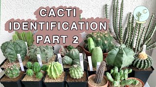 Cacti Identification Part 2 — Ep 09 [upl. by Helaina577]