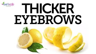 Remedies to Grow Thick Eyebrows  Get Thicker Eyebrows Naturally [upl. by Annav]