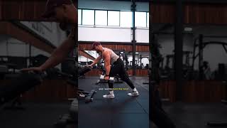 Dumbbell Rows Single Arm [upl. by Evars]