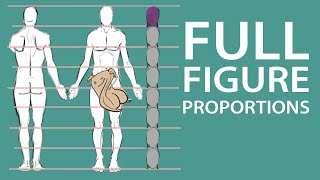 Human Figure Proportions  Cranial Units  Robert Beverly Hale [upl. by Aekerly]