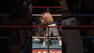 YOUNG HAWAIIAN PUNCH Viloria vs Gutierrez shorts boxing [upl. by Nosyaj580]