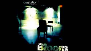 CRUSTATION With BRONAGH SLEVIN – BLOOM 1997  1 Hey [upl. by Obola]