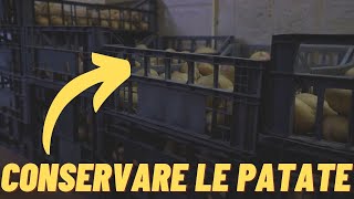 IL SEGRETO DELLA NONNA PER CONSERVARE LE PATATE🥔 per tutto linverno SENZA GERMIZIONE NE MARCIUME [upl. by Elda]