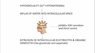 Hyponatremia  an EASY explanation [upl. by Tezile]