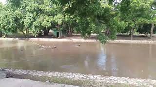 Río manzanares amaneció en el centro de la ciudad de Cumaná con abundante afluente [upl. by Farnsworth]