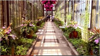 Worlds Most Beautiful Garden Cinematic Video Longwood Gardens [upl. by Ebonee]