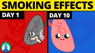 What Happens to Your Body When You Quit Smoking [upl. by Suidualc]