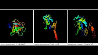 HOMOLOGY MODELING PROTEIN MODELING ACTIVE SITE PREDICTIONBINDING SITE PREDICTIONPEPTIDE MODELING [upl. by Nnayllek]