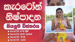 Carotone Cream Pack Full Review Sinhala  Cream Body Loation Soap Serum Brigtning Oil  කැරටෝන් [upl. by Olpe196]