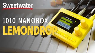 1010music Nanobox Lemondrop Granular Synthesizer Demo — Daniel Fisher [upl. by Bessie]