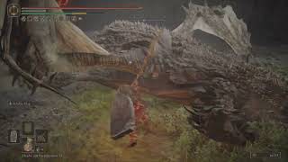 Lesser Magma Wyrm Dragon’s Pit – Solo Melee – Shadow of the Erdtree DLC – Elden Ring [upl. by Hahsia]