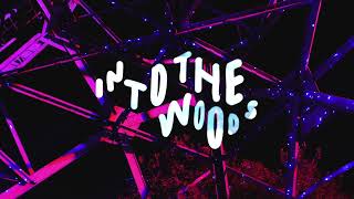 Into the Woods ADE Festival 2019  Dock amp Vakwerk [upl. by Worden485]