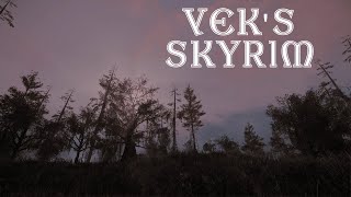 Best Modded Skyrim Youll Find Tonight Hopefully  2900 Mods  ☠️ Permadeath ☠️ [upl. by Ria68]