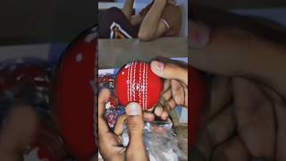 New Kookaburra Ball  cricket [upl. by Ydnis]