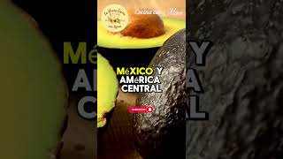 Los 5 Mitos del Aguacate Debunked 🥑 cocinaconmina mevacreaciones [upl. by Redyr528]