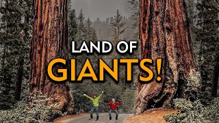 THINGS TO DO in Sequoia National Park [upl. by Mic]