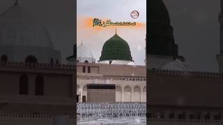 Moulaya sali wasalimviralvideo muhammad youtubeshorts shortvideo [upl. by Nonek]