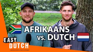 How Similar Are Afrikaans and Dutch  Easy Dutch Special 4 [upl. by Cappello992]