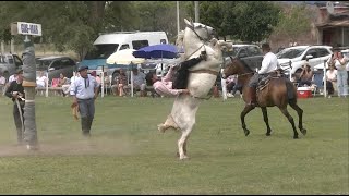 El Mundial de la Jineteada 152  Final Provincia de Buenos Aires [upl. by Otrebogad564]