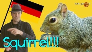 Germans Cant Say Squirrel n Shit [upl. by Sucramd]