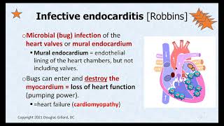 Infective Endocarditis Pericarditis and Cardiac Tamponade [upl. by Melicent]