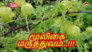 மூலிகை மருத்துவம்Tamil Medicine Siddha maruthuvam  Patti Vaithiyam [upl. by Annoerb]