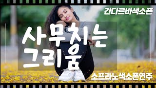 사무치는 그리움 채희 ♡ 소프라노색소폰 [upl. by Nilek]