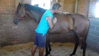 Equine Massage amp Muscle Release  my work part two [upl. by Marinna77]